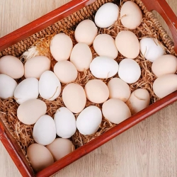 Squishy Stretchy Eggs (Set of 16)