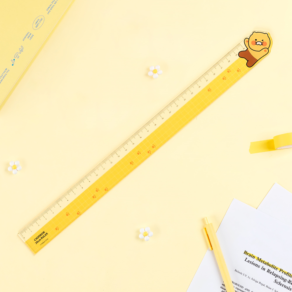 Choonsik 30cm Ruler