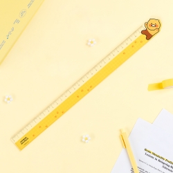 Choonsik 30cm Ruler