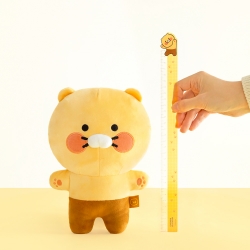 Choonsik 30cm Ruler