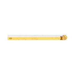 Choonsik 30cm Ruler