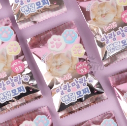 Soft Squishy Random Mochi Toys (Set of 60)
