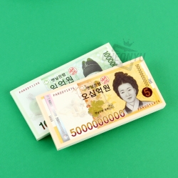 Money Multipurpose notebook, Set of 12pcs
