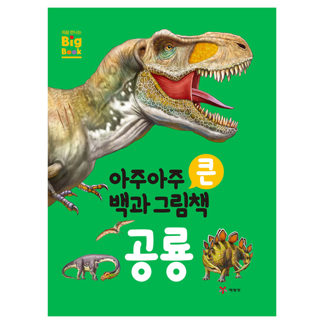 A Big Picture Book Dinosaur