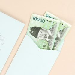 Envelope of money