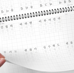 Pretty Handwriting Correction Note