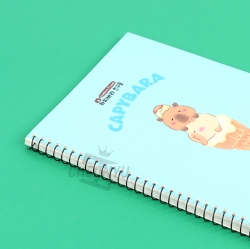 Capybara Notebook, Random