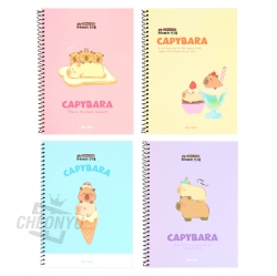 Capybara Notebook, Random