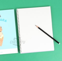 Capybara Notebook, Random