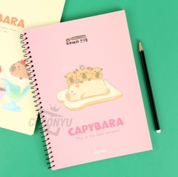 Capybara Notebook, Random