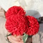 Carnation Ball Pencil for parents day