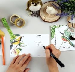 Card set-09 Bird