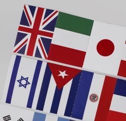 Label Sticker Pack-20 Flag
