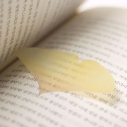 Sticky Leaf_Tracing Ginkgo(Yellow,L)