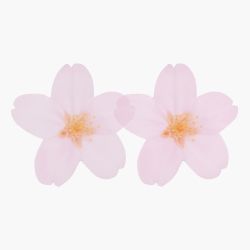 StickyLeaf_T-Cherry Blossom_Pink_M