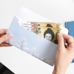 Gift Money Envelops 