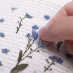 Press Flower Sticker_Forget me not