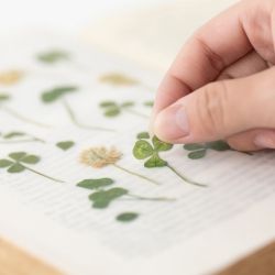 Press Flower Stickers_Four leaf clovers
