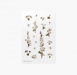 Press Flower Stickers_Bridal wreath