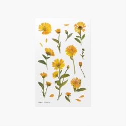 Press Flower Stickers_Calendula