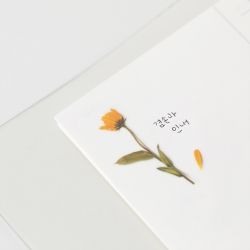 Press Flower Stickers_Calendula