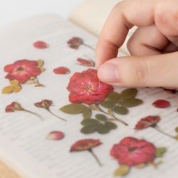 Press Flower Stickers_Mini rose