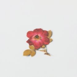 Press Flower Stickers_Mini rose