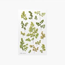Press Flower Stickers_Adiantum