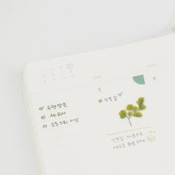 Press Flower Stickers_Adiantum