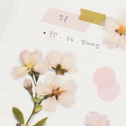 Press Flower Stickers_Cherry blossom