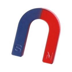 Educational Horseshoe Magnet (S)