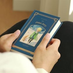 Little Prince One Sentence Diary 365-Days