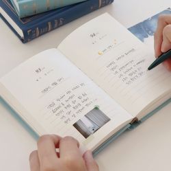 Little Prince One Sentence Diary 365-Days