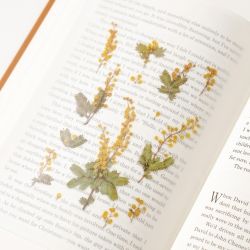 Press Flower Stickers_Mimosa