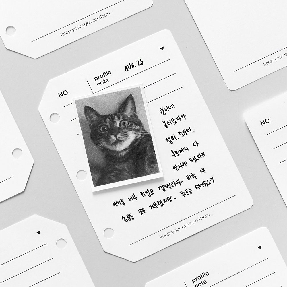 3 RING PROFILE NOTE REFILL