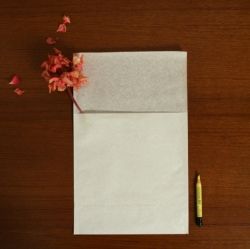 Frosted Envelope M, 20 Sheets