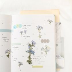 Press Flower Stickers_Moss phlox