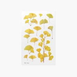 Press Flower Stickers_Ginkgo