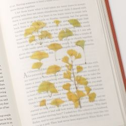 Press Flower Stickers_Ginkgo