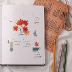 Press Flower Stickers_Palmate maple