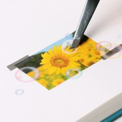 Nature Stickers_Soap bubble