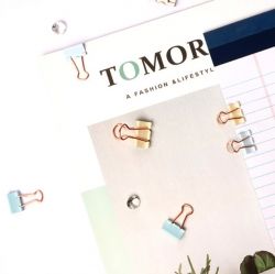 Pastel gold Double Clip(S) 19mm 20pcs