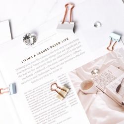 Pastel gold Double Clip(S) 19mm 20pcs