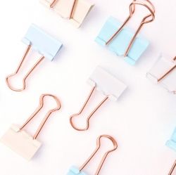 Pastel gold Double Clip(M) 25mm 12pcs