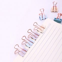 Pastel gold Double Clip(L) 32mm  15pcs