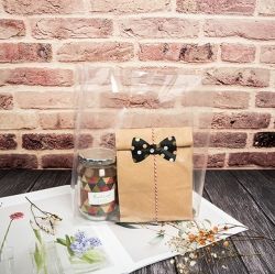 New Bulk Clear Vinyl Bag 260x130x350mm (50pcs)