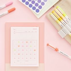 Essenti Twin Highlighter, 12Count 
