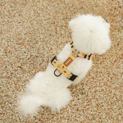 CHOONSIK H Type Harness 