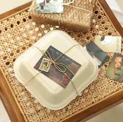 Mind Snap 100 Photo Sticker Pack