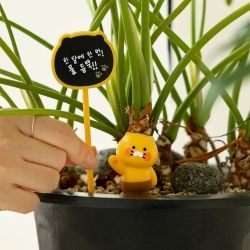 Choonsik Flowerpot Deco Set